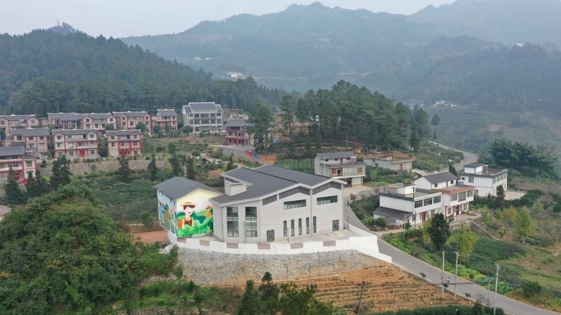 有关于筠连：茶园“冬眠”茶企不闲 大干一百天迎春茶的相关内容(1)