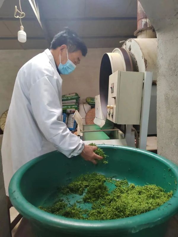有关于漆树坝镇：茶叶链上党旗飘的消息(3)