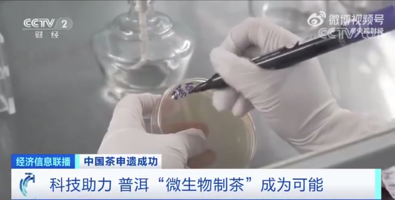 有关于上过太空的普洱茶有何不同?揭秘普洱茶的太空之旅的资讯(1)