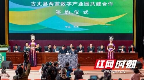 关于古丈县:构建数字经济 启动茶数字工厂的信息(1)