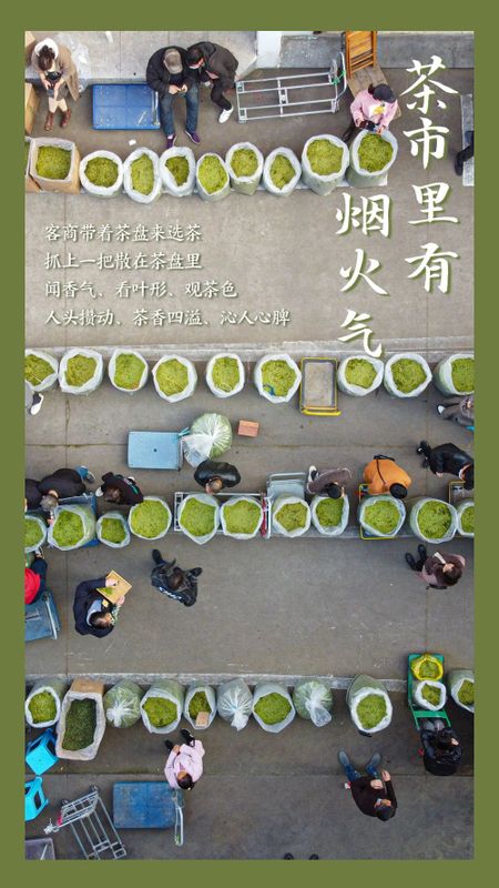 关于申遗成功!看,这就是中国茶的最新消息(6)
