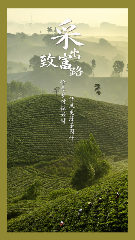 关于申遗成功!看,这就是中国茶的最新消息(7)