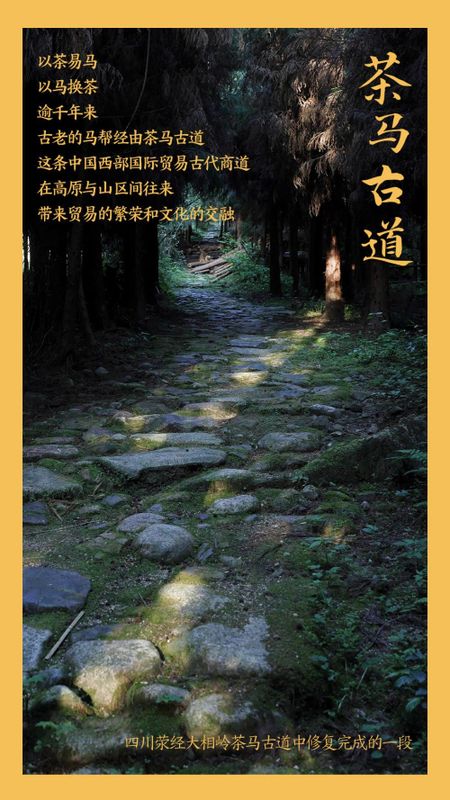 关于申遗成功!看,这就是中国茶的最新消息(3)