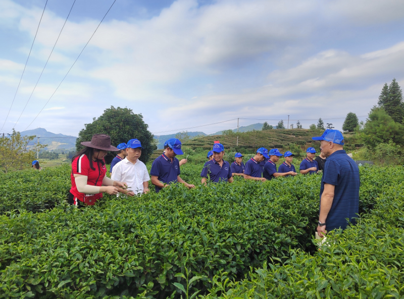 有关于江口:培管技术送上门 茶产业发展添动力的消息(1)