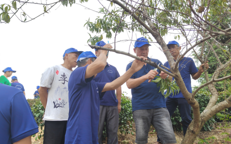 有关于江口:培管技术送上门 茶产业发展添动力的消息(2)