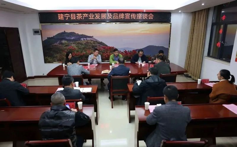 有关于厦门日报社领导到建宁调研茶产业发展情况的相关信息