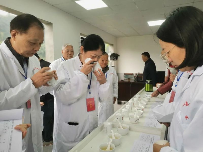 有关于深化浙川“银龄行动” 助推全市茶产业发展的新闻(2)