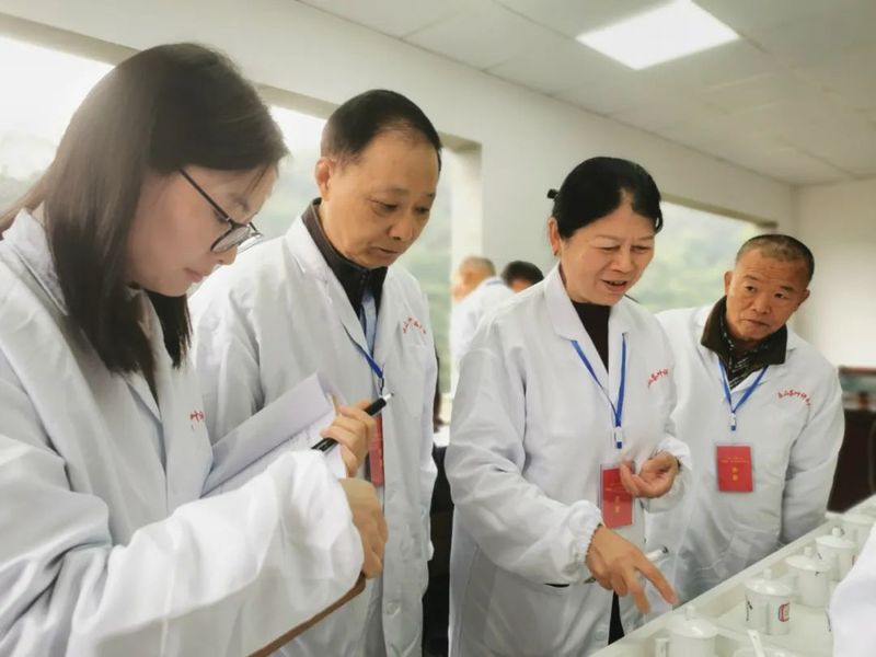 有关于深化浙川“银龄行动” 助推全市茶产业发展的新闻(1)