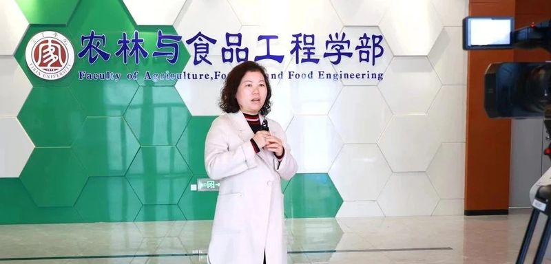 有关于这场大学生茶艺大赛,美翻了!的新闻(9)