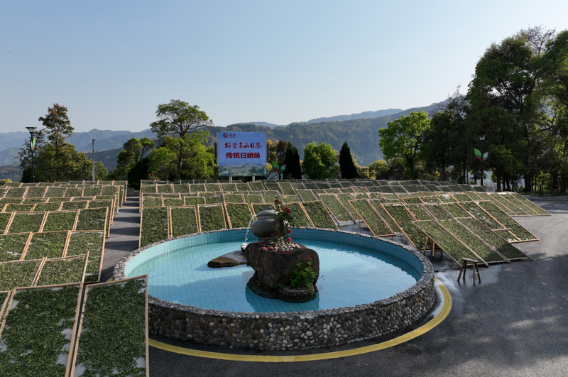 关于富溪镇:深化茶产业改革,点燃高山白茶新引擎的新闻(4)