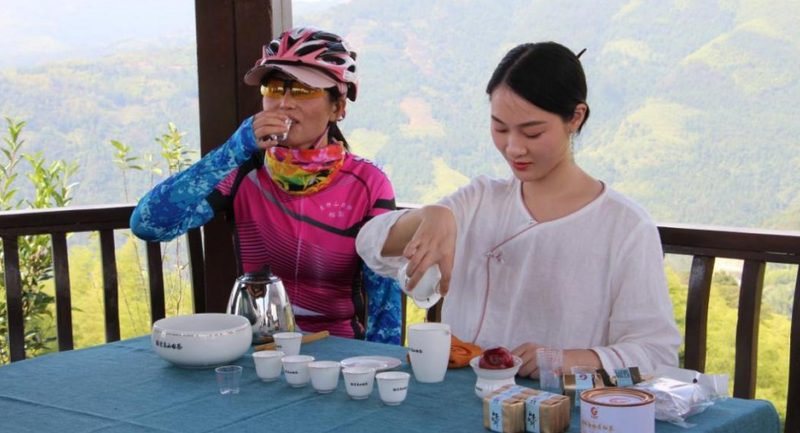 关于富溪镇:深化茶产业改革,点燃高山白茶新引擎的新闻(2)