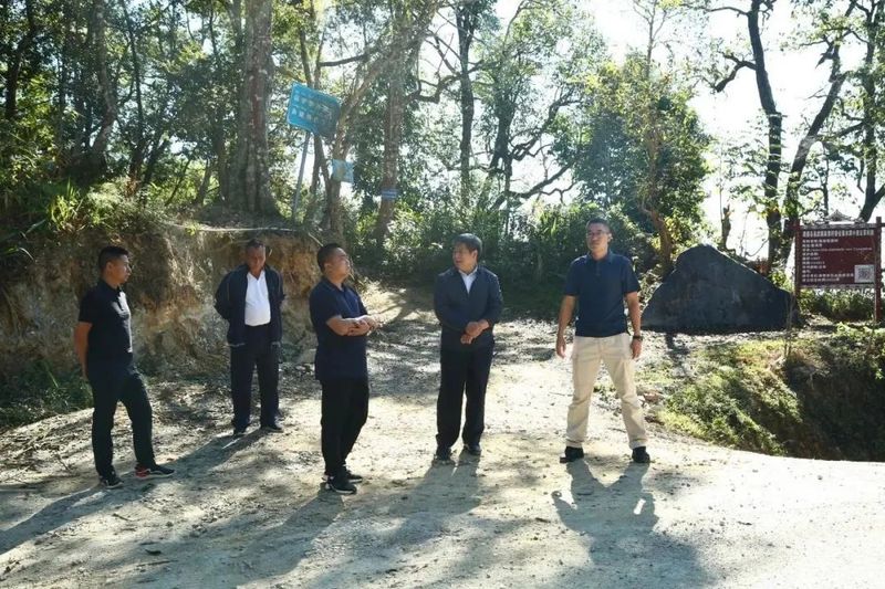 关于西双版纳州政协调研茶产业时提出:以统筹“三茶”发展为引领 构建普洱茶高质量发展新格局的资讯(2)