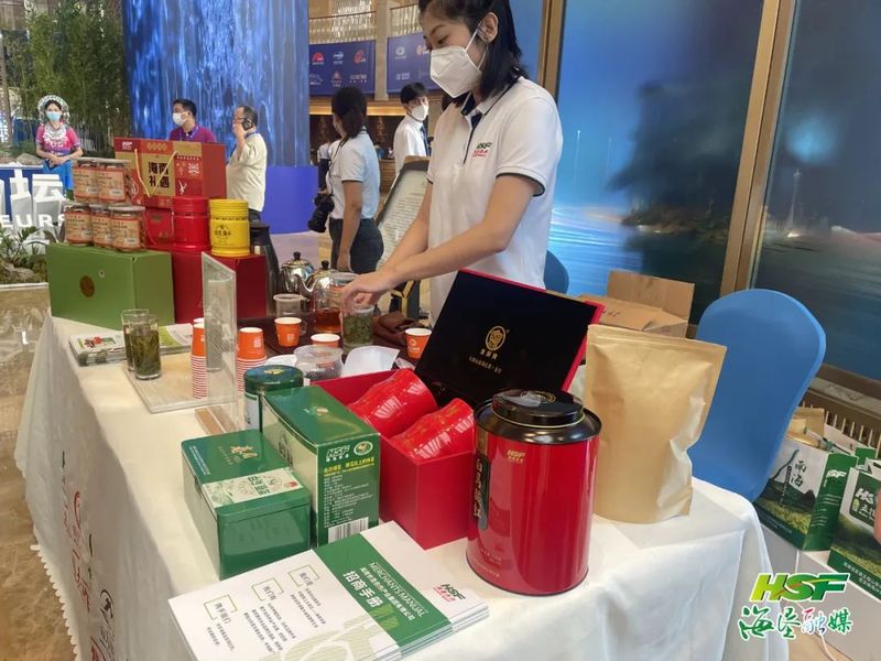 有关于海南农垦2023早春茶“抢鲜”上市的相关内容(1)