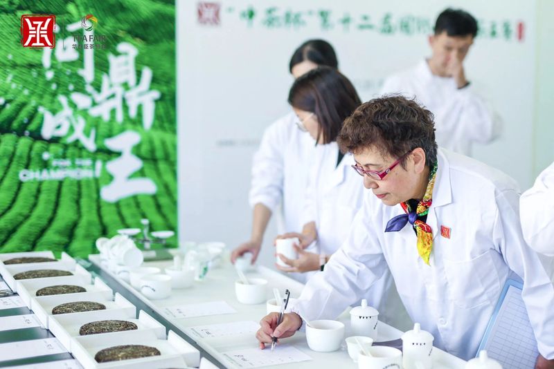 有关于茶王诞生！“中茶杯”第十二届国际鼎承茶王赛秋季赛获奖名单出炉的相关内容(16)
