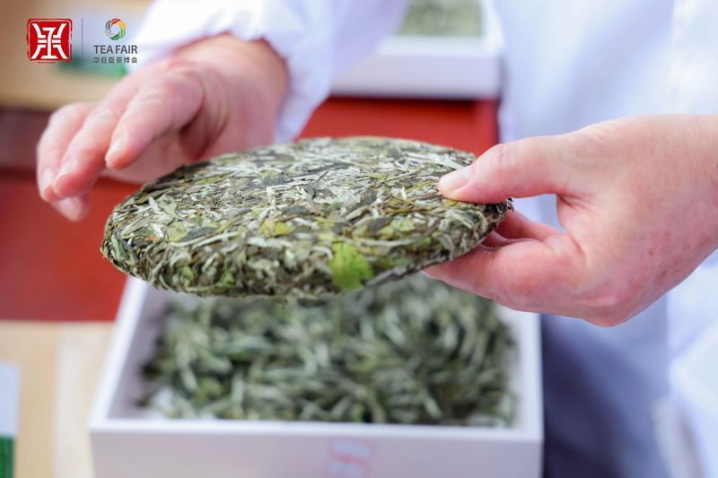 有关于茶王诞生！“中茶杯”第十二届国际鼎承茶王赛秋季赛获奖名单出炉的相关内容(17)