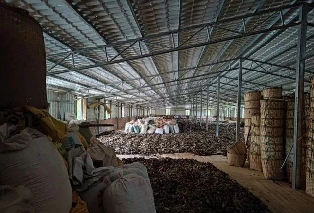 有关于广西:自动化茶厂里的非遗茶香的信息