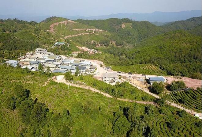 关于云南景谷入选2022年度茶业百强县域的消息(2)