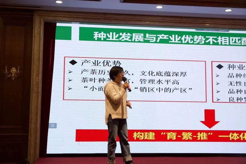 有关于江苏省茶树种业发展论坛暨茶树新品种新成果推介会顺利召开的最新消息(6)