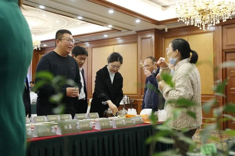 有关于江苏省茶树种业发展论坛暨茶树新品种新成果推介会顺利召开的最新消息(10)
