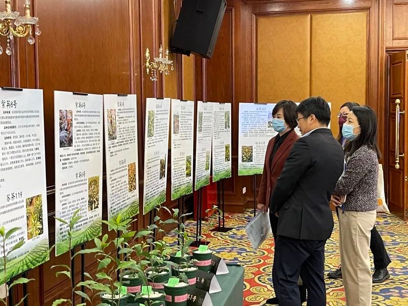 有关于江苏省茶树种业发展论坛暨茶树新品种新成果推介会顺利召开的最新消息(11)