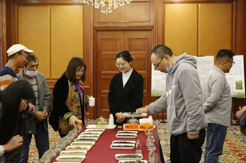 有关于江苏省茶树种业发展论坛暨茶树新品种新成果推介会顺利召开的最新消息(9)