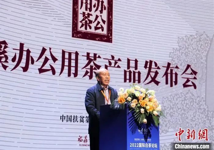 关于2022国际白茶论坛举办的新闻(4)