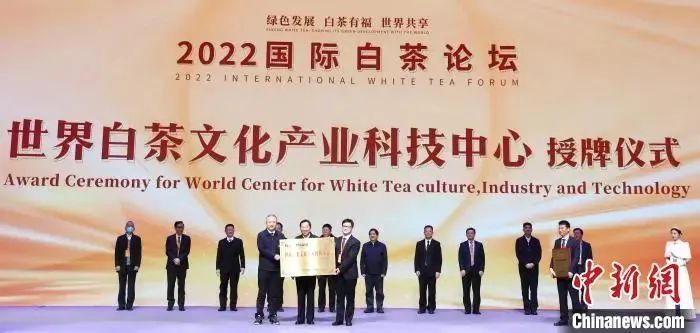 关于2022国际白茶论坛举办的新闻(2)