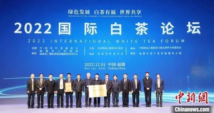 关于2022国际白茶论坛举办的新闻