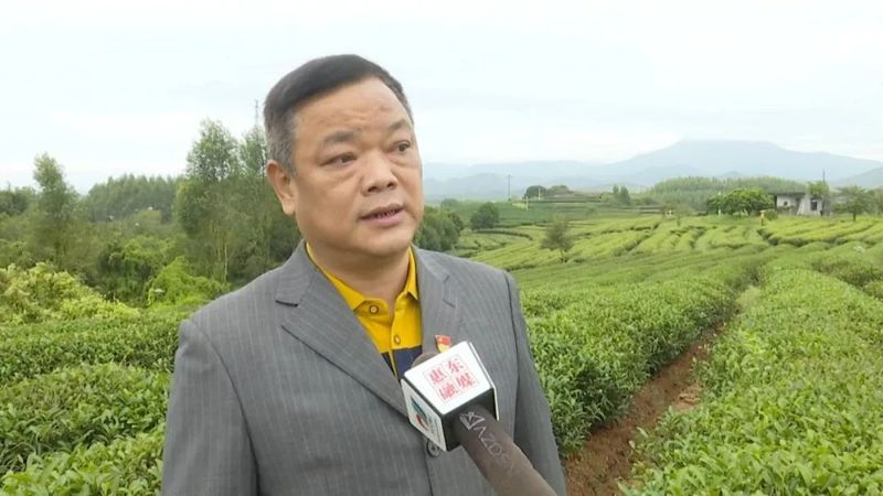 关于惠州市岩茶协会成立 百亿级“茶产业”赋能乡村振兴的资讯(4)