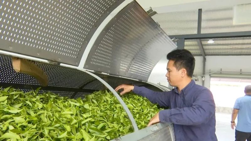 关于惠州市岩茶协会成立 百亿级“茶产业”赋能乡村振兴的资讯(8)