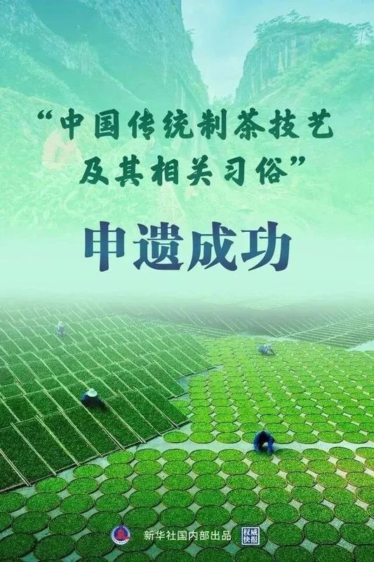 关于茶文化保护传承走向新的发展阶段,六堡茶制作技艺成为梧州市首个人类非物质文化遗产代表作名录项目的资讯