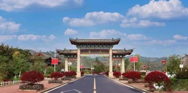 有关于梧州发挥“三原”优势推进标准化建设 推动六堡茶产业做大做强的内容(1)