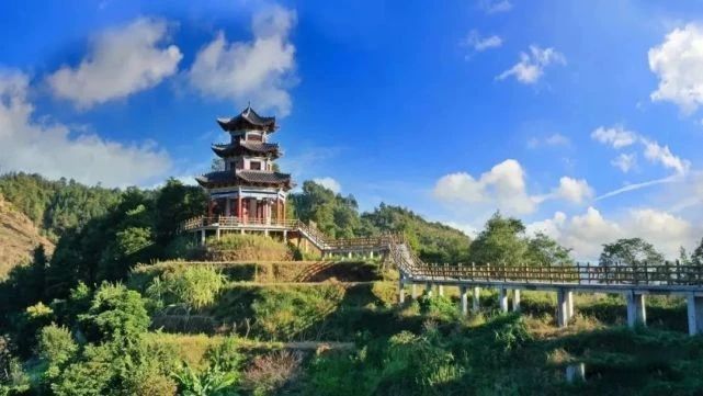 有关于梧州发挥“三原”优势推进标准化建设 推动六堡茶产业做大做强的内容(2)