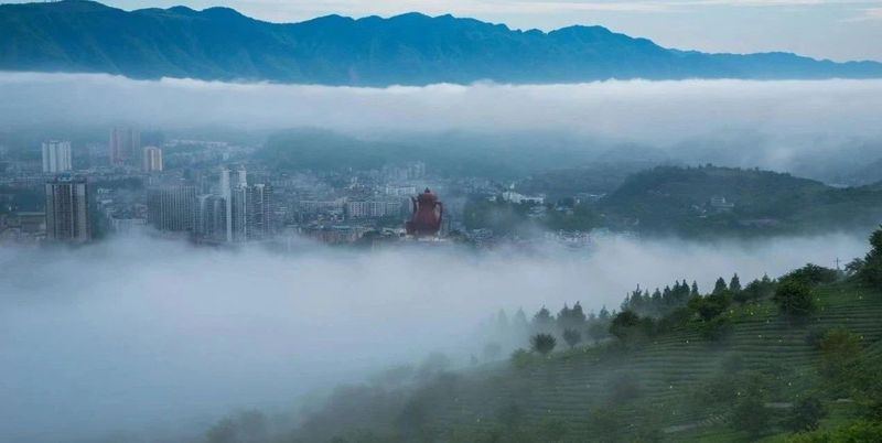 关于到湄潭吃茶去的相关信息(1)