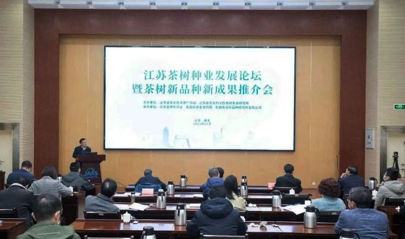关于一周茶事:中国传统制茶技艺及其相关习俗申遗成功;2023年植物基新茶饮白皮书发布的内容(10)