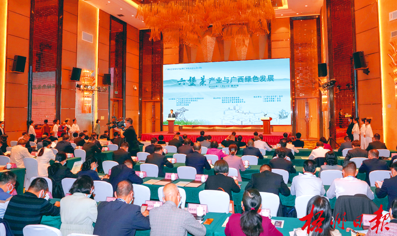 关于一周茶事:中国传统制茶技艺及其相关习俗申遗成功;2023年植物基新茶饮白皮书发布的内容(9)