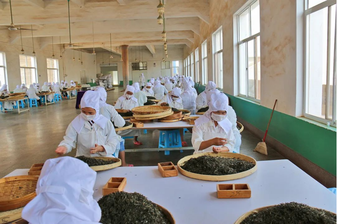 关于地标馆：七彩云南 多彩贵州 云贵CP好茶多多的信息(16)