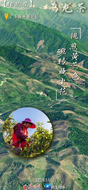 有关于卫星视角“瞰”我国六大茶类主产地的最新消息(4)