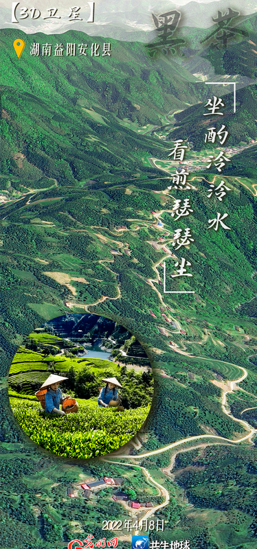 有关于卫星视角“瞰”我国六大茶类主产地的最新消息(2)
