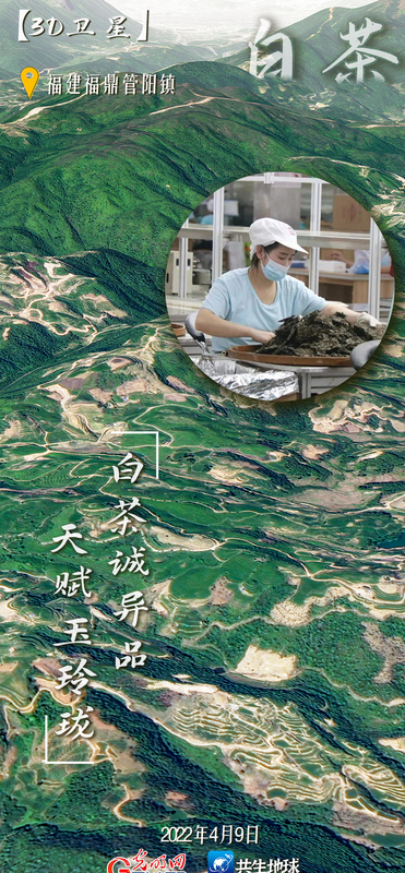 有关于卫星视角“瞰”我国六大茶类主产地的最新消息(3)