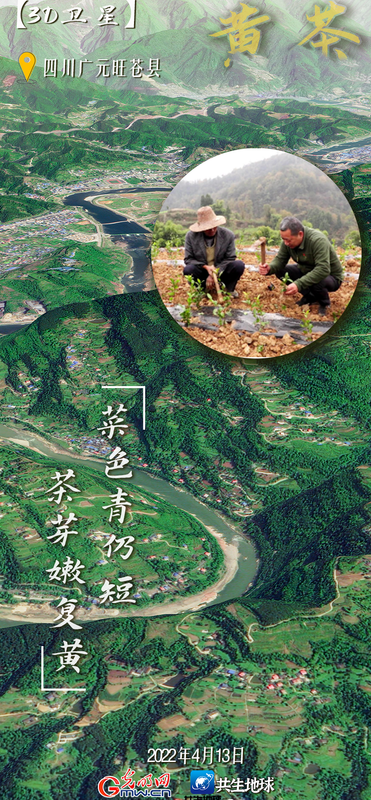 有关于卫星视角“瞰”我国六大茶类主产地的最新消息(1)