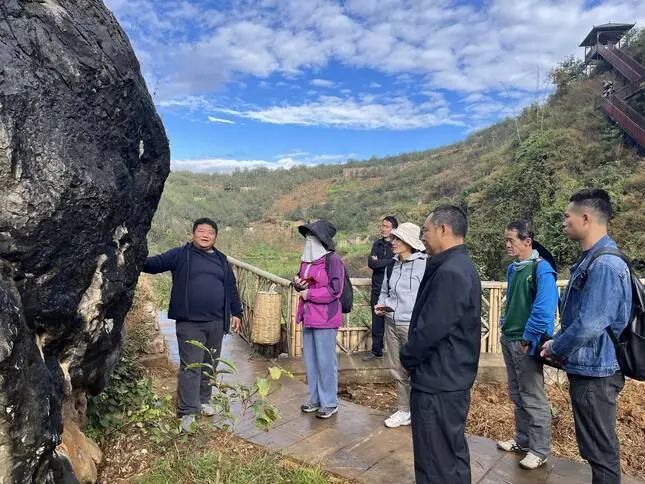 关于中国科学院昆明植物研究所研究员张颖君一行深入永德开展茶产业调研的新闻(1)