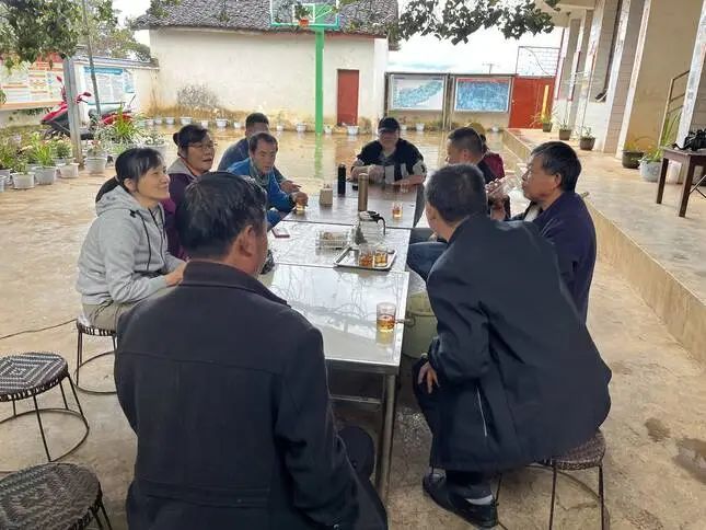 关于中国科学院昆明植物研究所研究员张颖君一行深入永德开展茶产业调研的新闻(4)