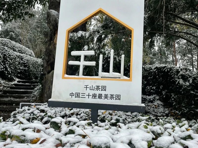 有关于雪降人间寒，茶来心间暖的新闻(1)