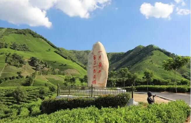 有关于安吉白茶入选联合国教科文组织人类非物质文化遗产代表作名录的信息