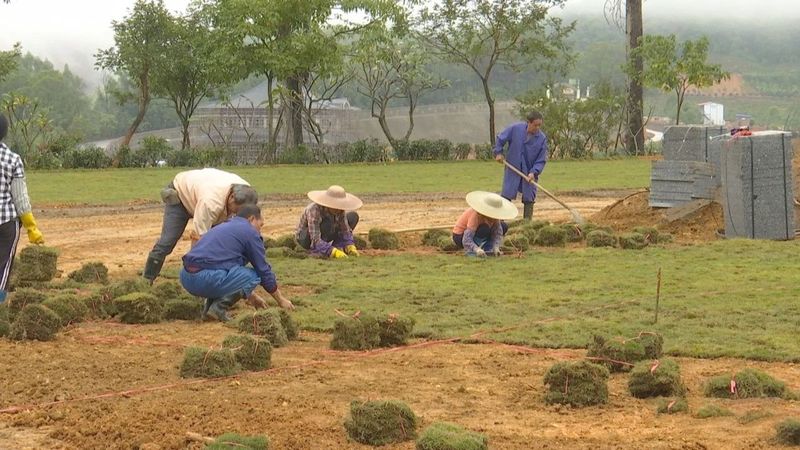 有关于打造精品模范项目 带动六堡茶产业高质量发展的相关内容(1)
