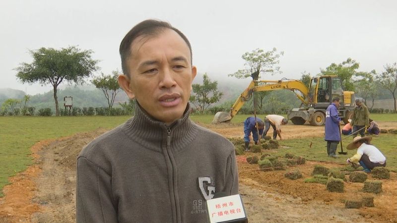 有关于打造精品模范项目 带动六堡茶产业高质量发展的相关内容(4)