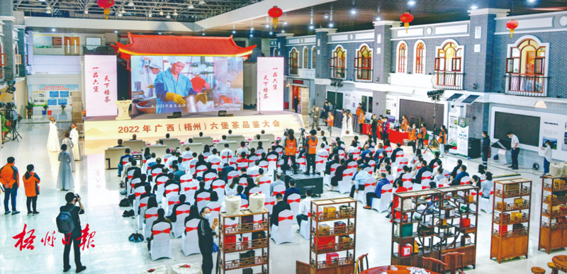 关于梧州加大茶主题活动力度，为六堡茶产业发展注入新活力的新闻