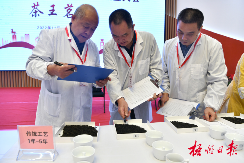 关于梧州加大茶主题活动力度，为六堡茶产业发展注入新活力的新闻(1)