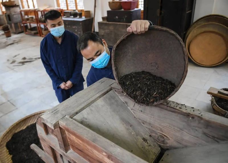 有关于“丝路黑金”咸阳茯茶诞生记的相关信息(3)
